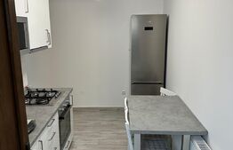 Studio, prima inchiriere, 50 mp, mobilat lux, zona Casa de cultura 