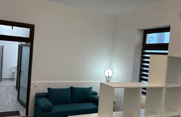 Studio, prima inchiriere, 50 mp, mobilat lux, zona Casa de cultura 