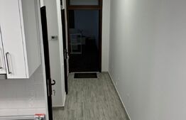 Studio, prima inchiriere, 50 mp, mobilat lux, zona Casa de cultura 