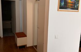 Apartament de lux, 2 camere, 56 mp si terasa 13 mp in zona Cetatii!