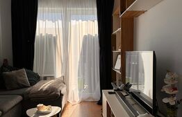 Apartament de lux, 2 camere, 56 mp si terasa 13 mp in zona Cetatii!