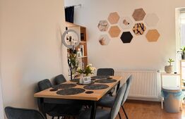 Apartament de lux, 2 camere, 56 mp si terasa 13 mp in zona Cetatii!