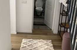 Cabana 7 camere,220 mp utili + 1000 mp teren ,Colibita