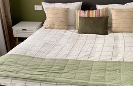 Cabana 7 camere,220 mp utili + 1000 mp teren ,Colibita