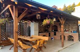 Cabana 7 camere,220 mp utili + 1000 mp teren ,Colibita