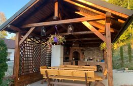 Cabana 7 camere,220 mp utili + 1000 mp teren ,Colibita