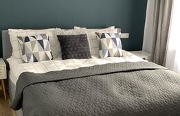 Cabana 7 camere,220 mp utili + 1000 mp teren ,Colibita