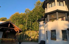 Cabana 7 camere,220 mp utili + 1000 mp teren ,Colibita