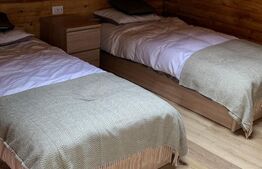 Cabana 7 camere,220 mp utili + 1000 mp teren ,Colibita