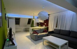 2 camere, 60 mp, parcare, mobilat modern, pet friendly, zona strazii Horea