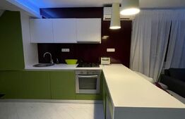 2 camere, 60 mp, parcare, mobilat modern, pet friendly, zona strazii Horea