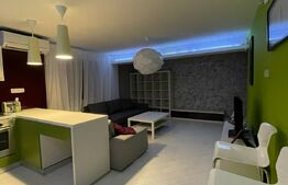 2 camere, 60 mp, parcare, mobilat modern, pet friendly, zona strazii Horea