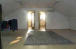 Penthouse 3 camere, 200 mp, terasa, zona strazii Bucuresti