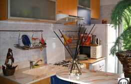 Apartament spatios cu 1 camera, 46 mp utili , la 3 minute de Parcul Central