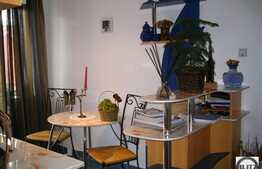 Apartament spatios cu 1 camera, 46 mp utili , la 3 minute de Parcul Central