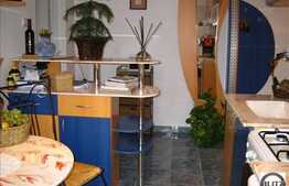 Apartament spatios cu 1 camera, 46 mp utili , la 3 minute de Parcul Central