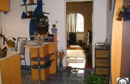 Apartament spatios cu 1 camera, 46 mp utili , la 3 minute de Parcul Central