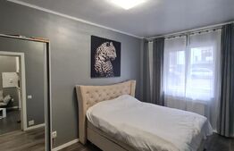 Apartament 2 camere, 39 mp utili , zona Terra