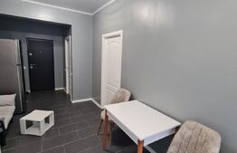 Apartament 2 camere, 39 mp utili , zona Terra