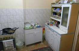 Apartament cu 2 camere, 42,9 mp, balcon, parcare, zona strazii Horea!