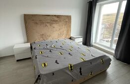 Casa individuala la cheie cu 4 camere de 150 mp utili + 500 mp teren, Dezmir