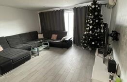 Casa individuala la cheie cu 4 camere de 150 mp utili + 500 mp teren, Dezmir