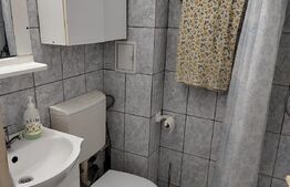 Garsoniera 21 mp,zona Marasti 