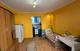 Garsoniera 22 mp, zona Dambul Rotund 