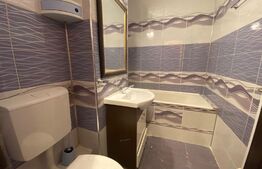 Apartament cu o camera, 40 mp, parter inalt cu balcon, zona Iulius Mall