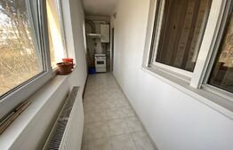 Apartament cu o camera, 40 mp, parter inalt cu balcon, zona Iulius Mall