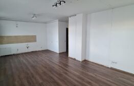 Apartament cu 3 camere, autorizat ca spatiu comercial, gradina de 46 mp, parcare, zona Parcului Poligon