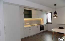 2 camere, 60 mp , zona strazii Mircea Eliade. Disponibil cu 1 Decembrie