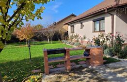 Casa exceptionala de 3 camere, 85 mp utili +teren 796 mp, Jucu de Sus