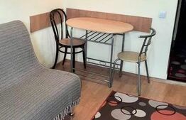 Garsoniera 22mp, centrala proprie, zona strazii Horea 