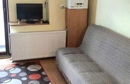 Garsoniera 22mp, centrala proprie, zona strazii Horea 