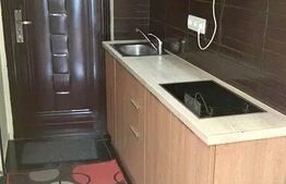 Garsoniera 22mp, centrala proprie, zona strazii Horea 