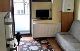 Garsoniera 22mp, centrala proprie, zona strazii Horea 