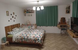 Casa 2 camere, 81 mp utili + 2225 teren , în satul Rediu