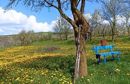 Casa 2 camere, 81 mp utili + 2225 teren , în satul Rediu