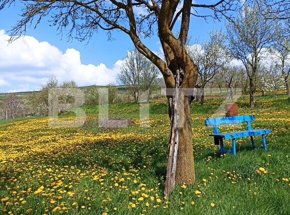 Casa de vânzare 2 camere Aiton - 136350CV | BLITZ Cluj-Napoca | Poza6