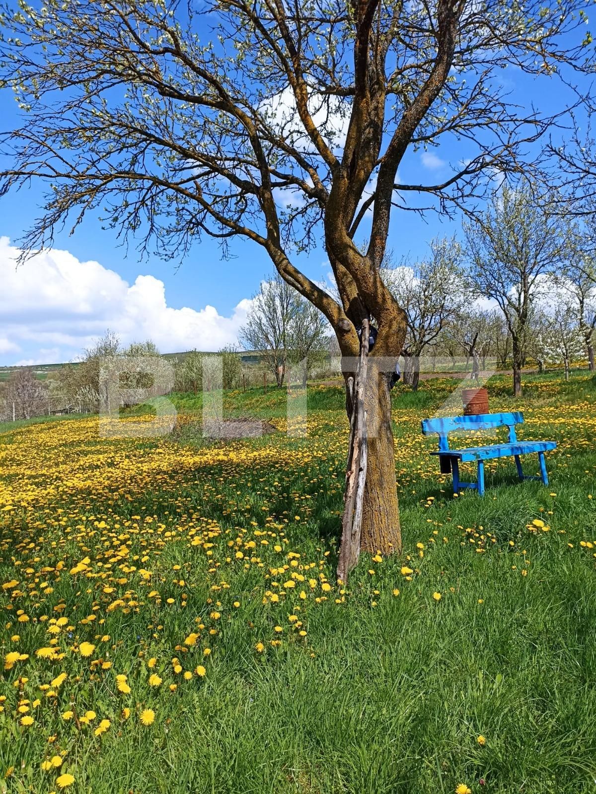 Casa de vânzare 2 camere Aiton - 136350CV | BLITZ Cluj-Napoca | Poza6