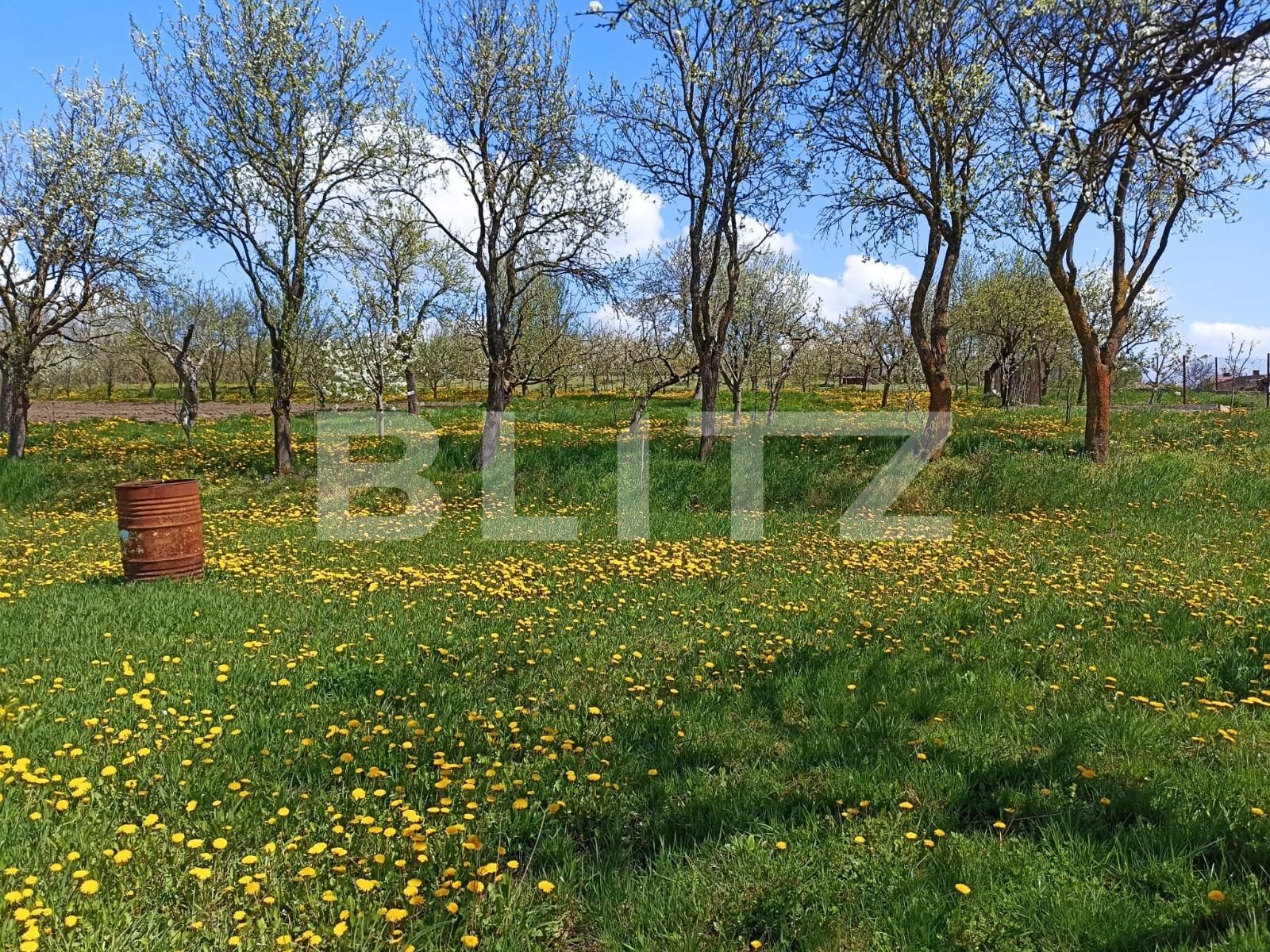 Casa de vânzare 2 camere Aiton - 136350CV | BLITZ Cluj-Napoca | Poza5