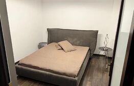 Apartament  2 camere , 51 mp + Pod mansardabil,  Zona Teatrului National