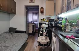 Apartament in casa 30 mp utili, 180 mp teren propriu, zona strazii Oasului