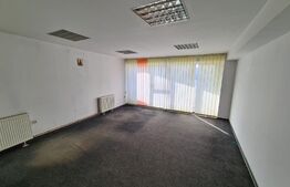 Casa, proprietate pretabila pentru sediu de firma + hala productie