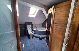 Casa, proprietate pretabila pentru sediu de firma + hala productie