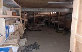 Casa, proprietate pretabila pentru sediu de firma + hala productie