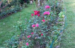 Casa de vacanta sau de locuit P+M de 96 mp, cu teren de 800 mp, Bran-Sohodol