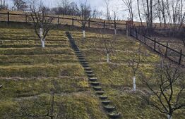 Casa de vacanta sau de locuit P+M de 96 mp, cu teren de 800 mp, Bran-Sohodol