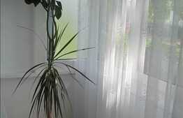 2 camere, 52 mp, decomandat, zona strazii Calea Floresti!